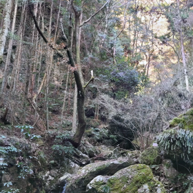 必死の画像