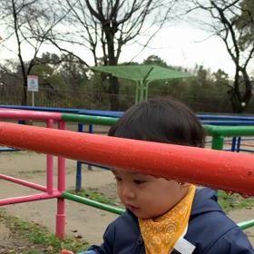 鉄分の画像