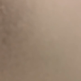 正解の画像