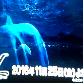 番宣♪の画像