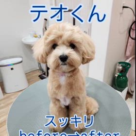 2024/05/12の画像