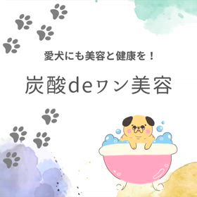 2024/05/15の画像