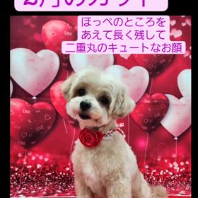 2024/03/28の画像