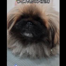 2024/03/01の画像