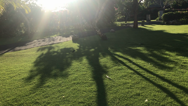 世界一綺麗に見える夕日スポットへ♡の記事動画