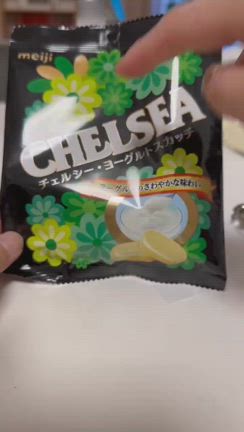 チェルシーミニチュアキーホルダー！の記事動画