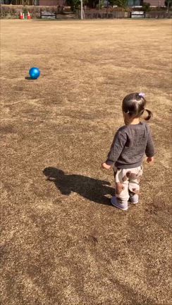 1歳8カ月総括の記事動画