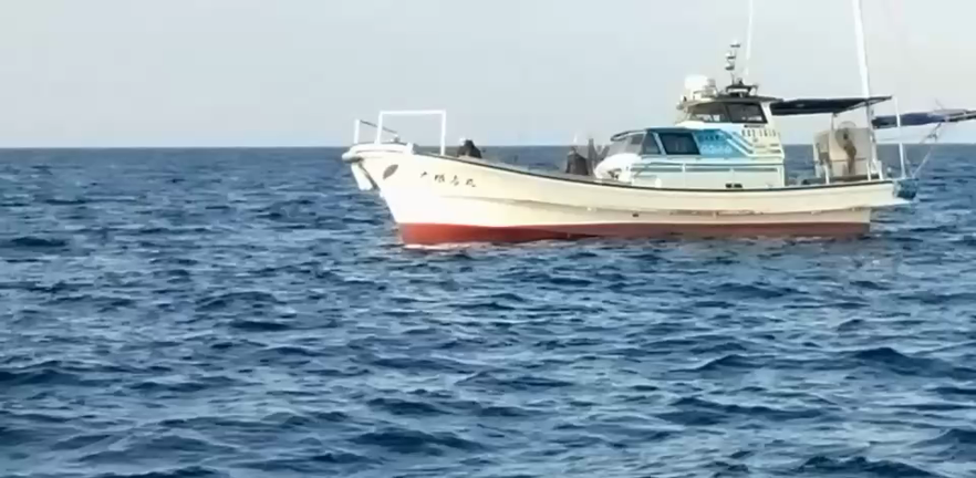 大根占丸　泉南郡　小島漁港　４月29日の記事動画