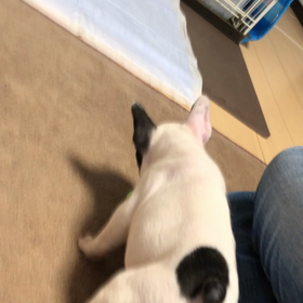 痛いの画像