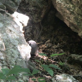 ハイキング日和の画像