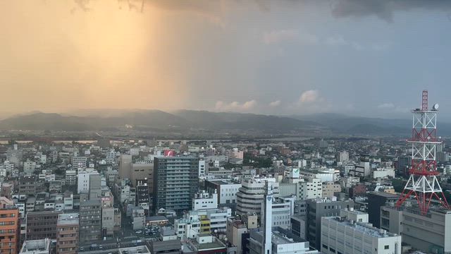 ゴロゴロ〜の記事動画