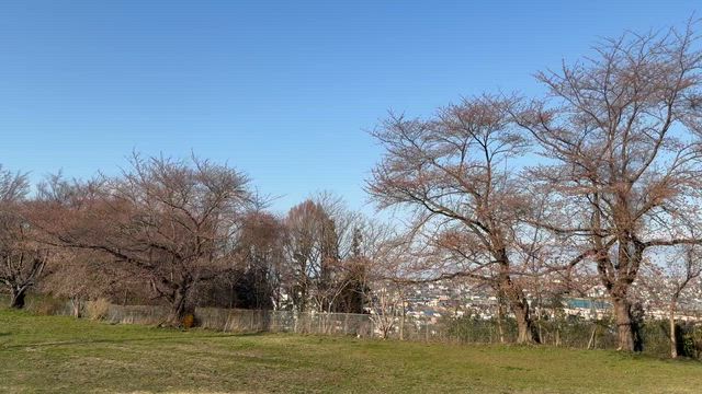 トコトコ御朱印ツー　久慈大神宮の記事動画