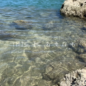 2021/08/02の画像