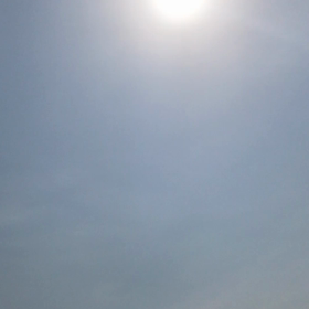 鳥の声と子どもの声は、天上の調べ♫の画像