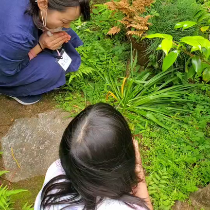 【イベント】草花の歌を聴こう♪開催レポの記事動画
