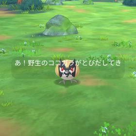 色違いのポケモンの画像