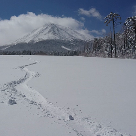 雪板ライディング ( 相方編 )の画像