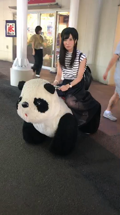 うたなびロケの記事動画