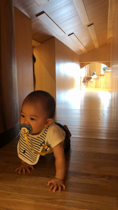 木に触れ合いながら1日遊べる！屋内の森あそび体験〜創造冒険〜への記事動画