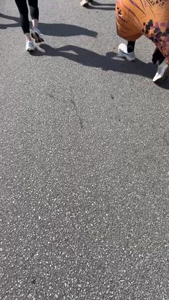 第6回いとまん平和マラソン♪の記事動画