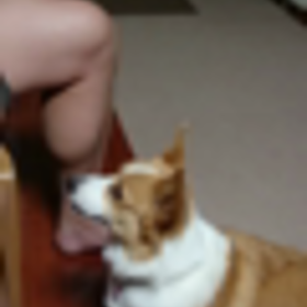 お手おかわりの画像