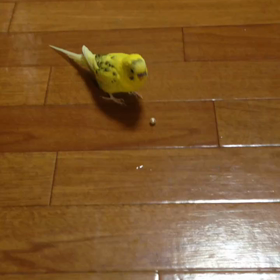 ありがとうな^ ^の画像