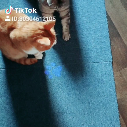 １時オープンですよの記事動画