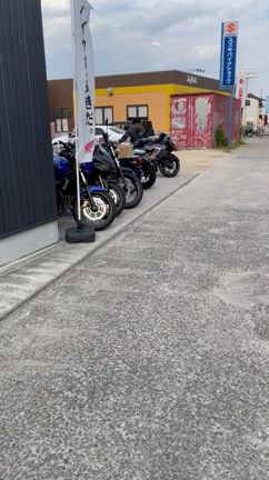 隼　ハヤブサ　入荷‼️の記事動画