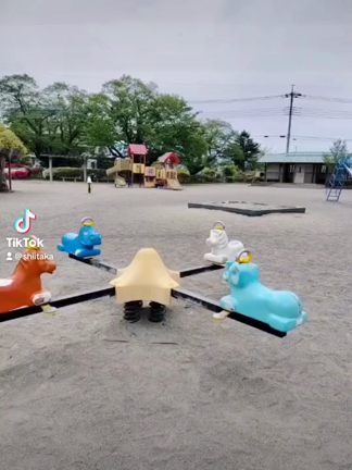 王子公園でご乱心の記事動画