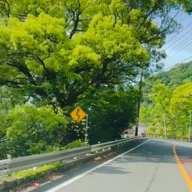 新緑　壱太郎　和太鼓の画像
