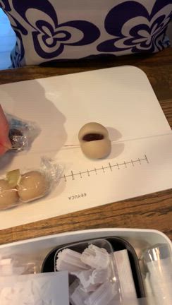 コースレッスン②「着色・ぼかし・型」の記事動画