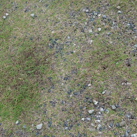 夢ちゃん日記040618の画像