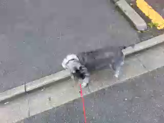 初めての動画の記事動画