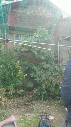 園児たちのヒーローになります！の記事動画