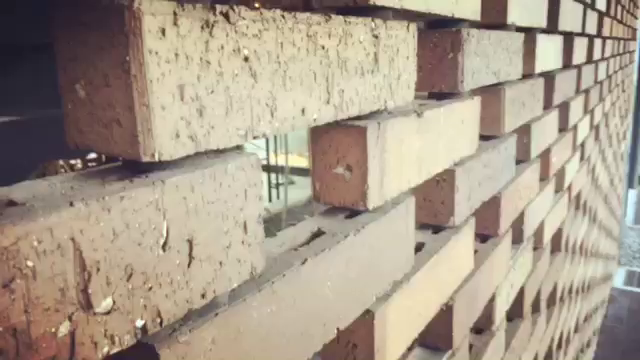 愉快な仲間たち♥︎の記事動画