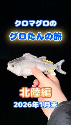 一人で頑張るより大切なこと。カウンセラーを13年続けてこられた理由の記事動画
