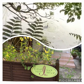 軽度の熱中症の画像