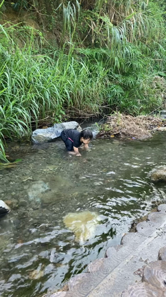 正しい川への入り方の記事動画