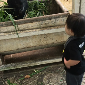 りーちゃんの好きな動物はの画像