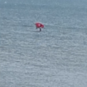 カイトサーフィンの画像