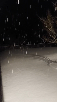 夕方から降り出した雪が積もってるの記事動画