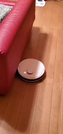 ロボット掃除機導入の記事動画