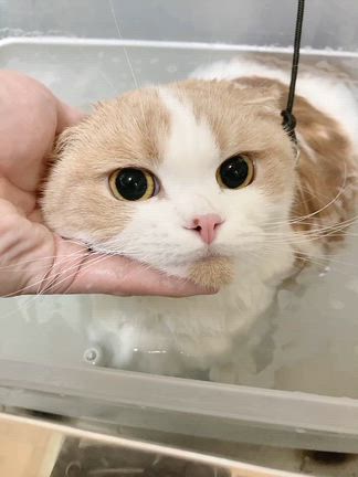 ♨️温浴写真♨️ かなえの記事動画
