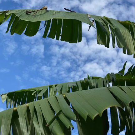 生きてるだけで、丸儲け。の記事動画