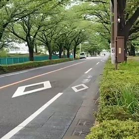 モトコンポ復活(^^)☆の画像