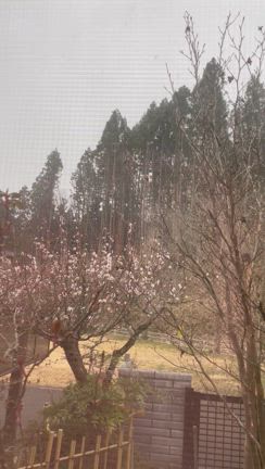 この気持ちの記事動画