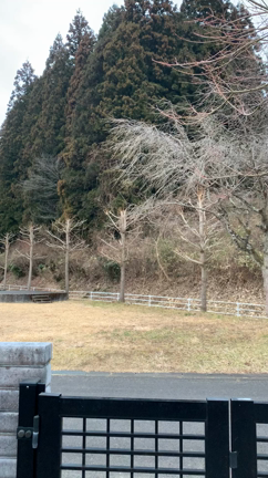 ホーホケキョの記事動画