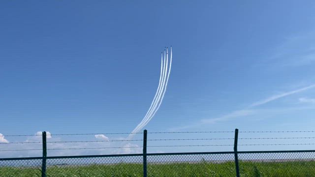 楽市楽座の記事動画