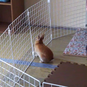 計画の画像