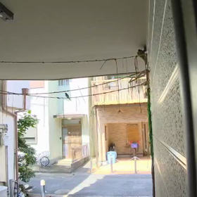 つばぴょん来たぁ〜の画像